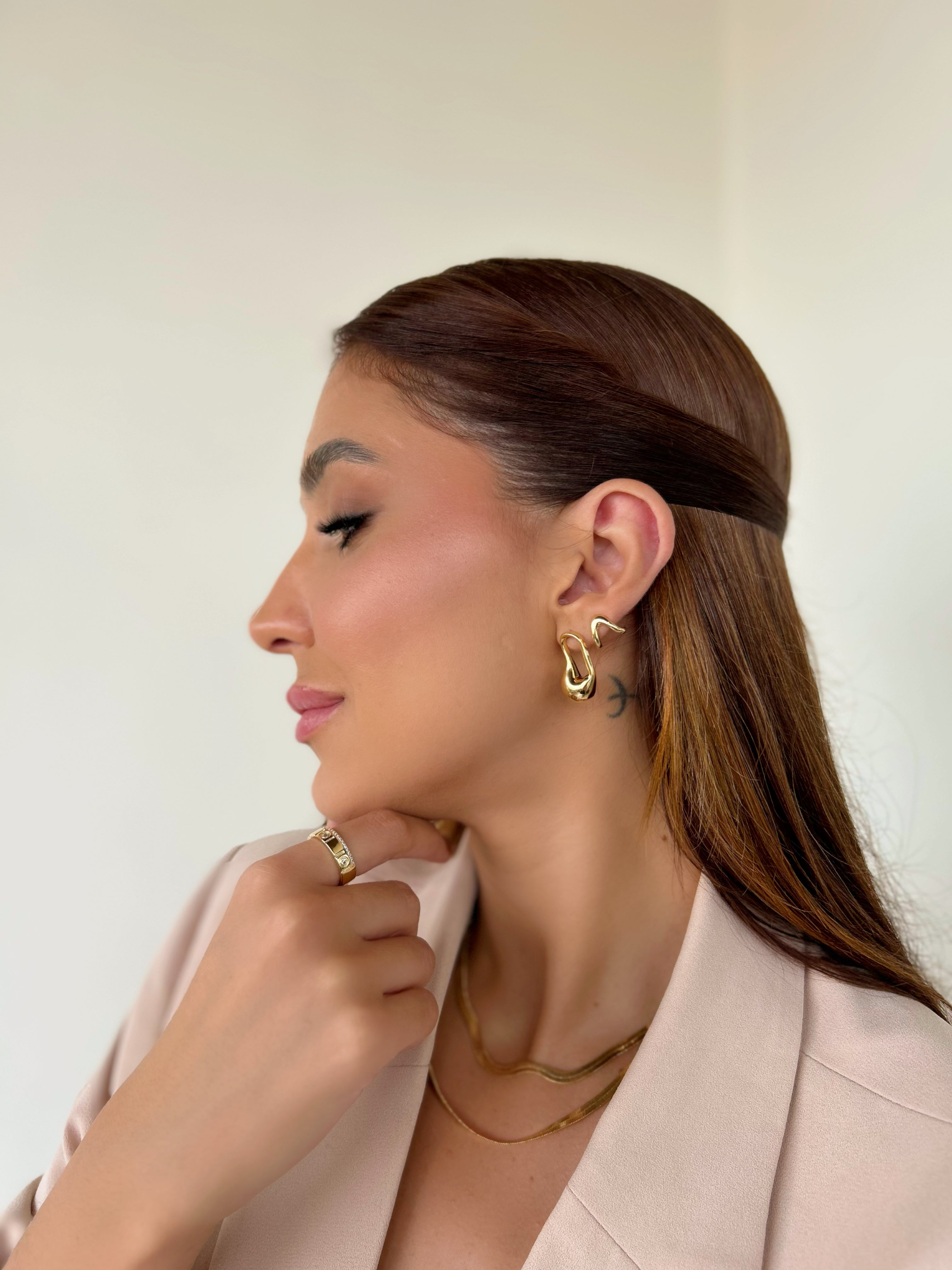 Brinco Garra Dourado