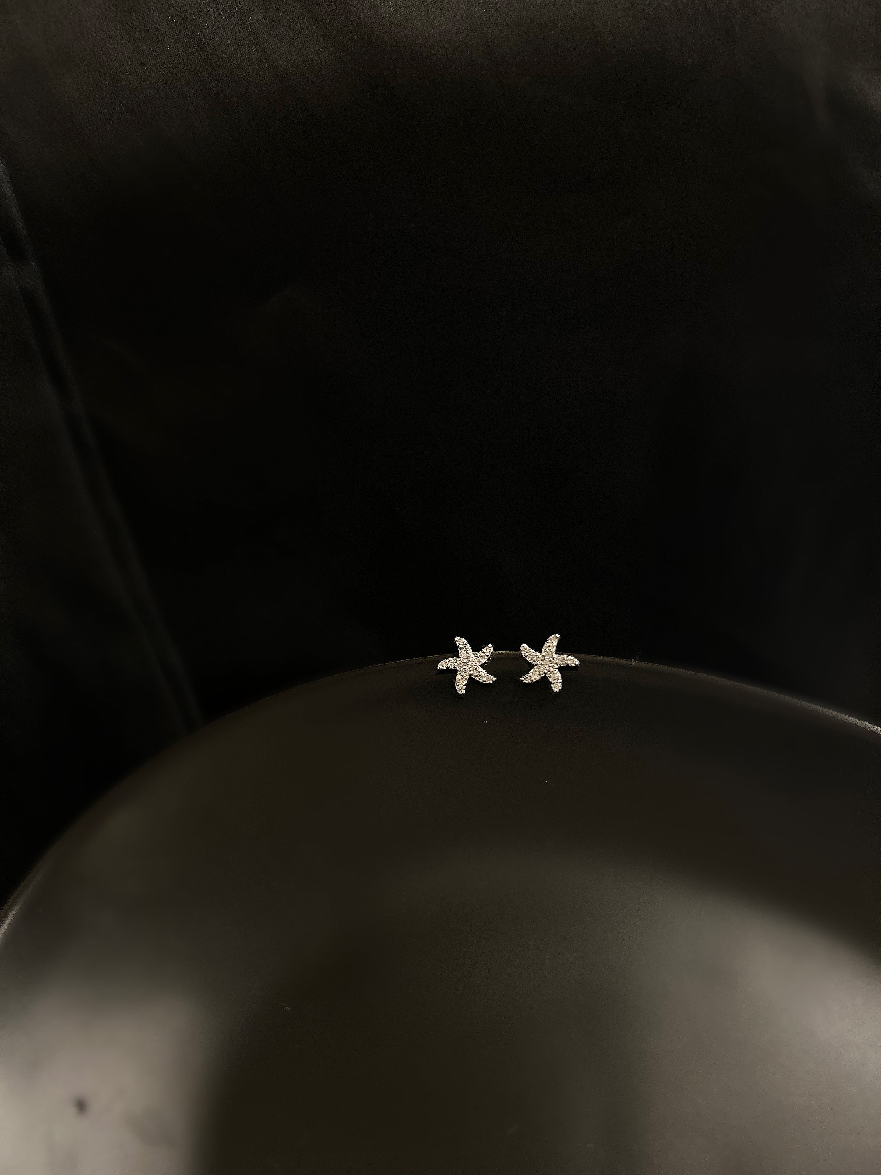 Brinco Estrelinha Banho Ródio Premium